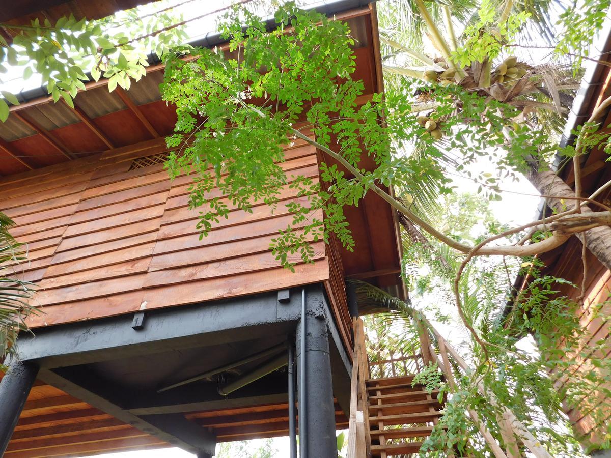 Sigiri Sarilco Rock View Treehouse Villa Sigiriya Eksteriør bilde