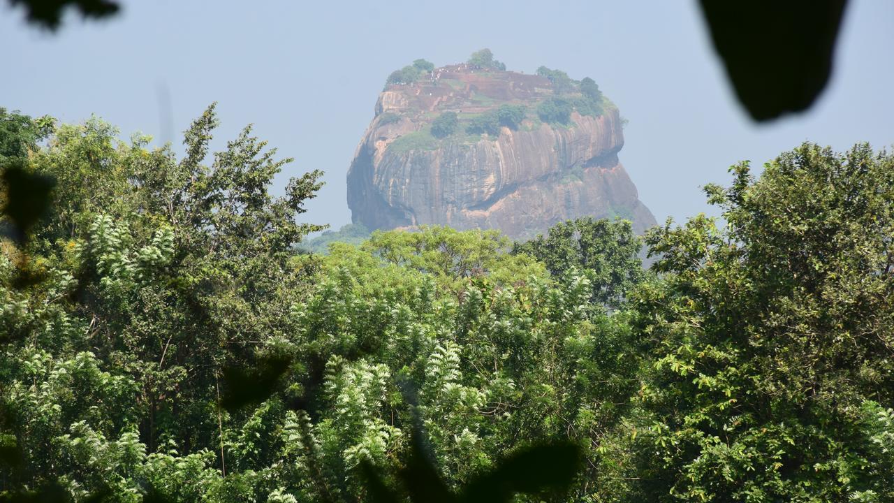 Sigiri Sarilco Rock View Treehouse Villa Sigiriya Eksteriør bilde