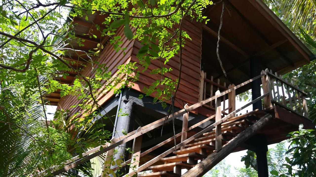 Sigiri Sarilco Rock View Treehouse Villa Sigiriya Eksteriør bilde