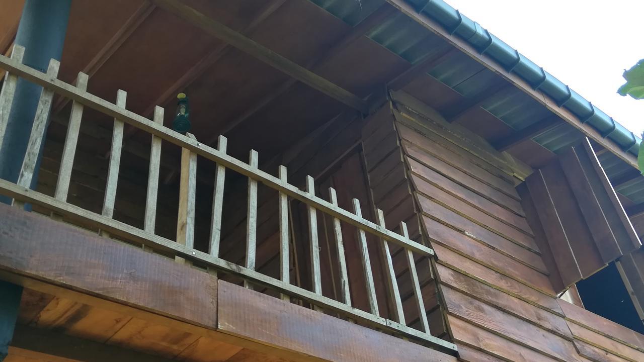 Sigiri Sarilco Rock View Treehouse Villa Sigiriya Eksteriør bilde