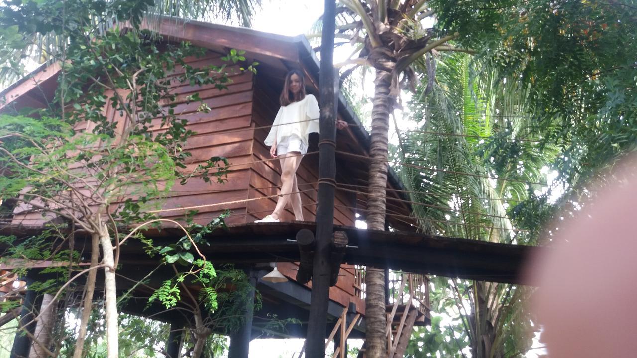 Sigiri Sarilco Rock View Treehouse Villa Sigiriya Eksteriør bilde